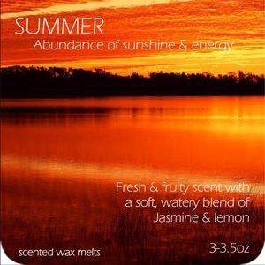 Handmade Soy SUMMER wax melts tarts